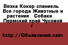 Вязка Кокер спаниель - Все города Животные и растения » Собаки   . Пермский край,Чусовой г.